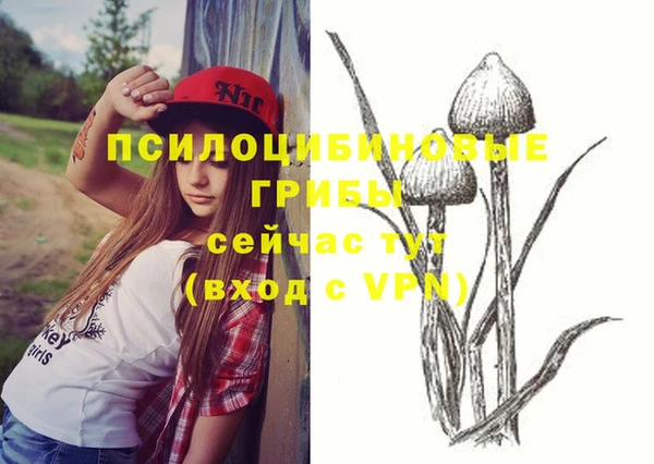 дживик Балахна