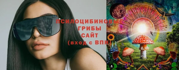 дживик Балахна