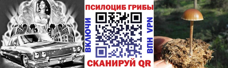 блэк спрут tor  Сольвычегодск  Псилоцибиновые грибы Magic Shrooms  сайты даркнета какой сайт  купить наркоту 
